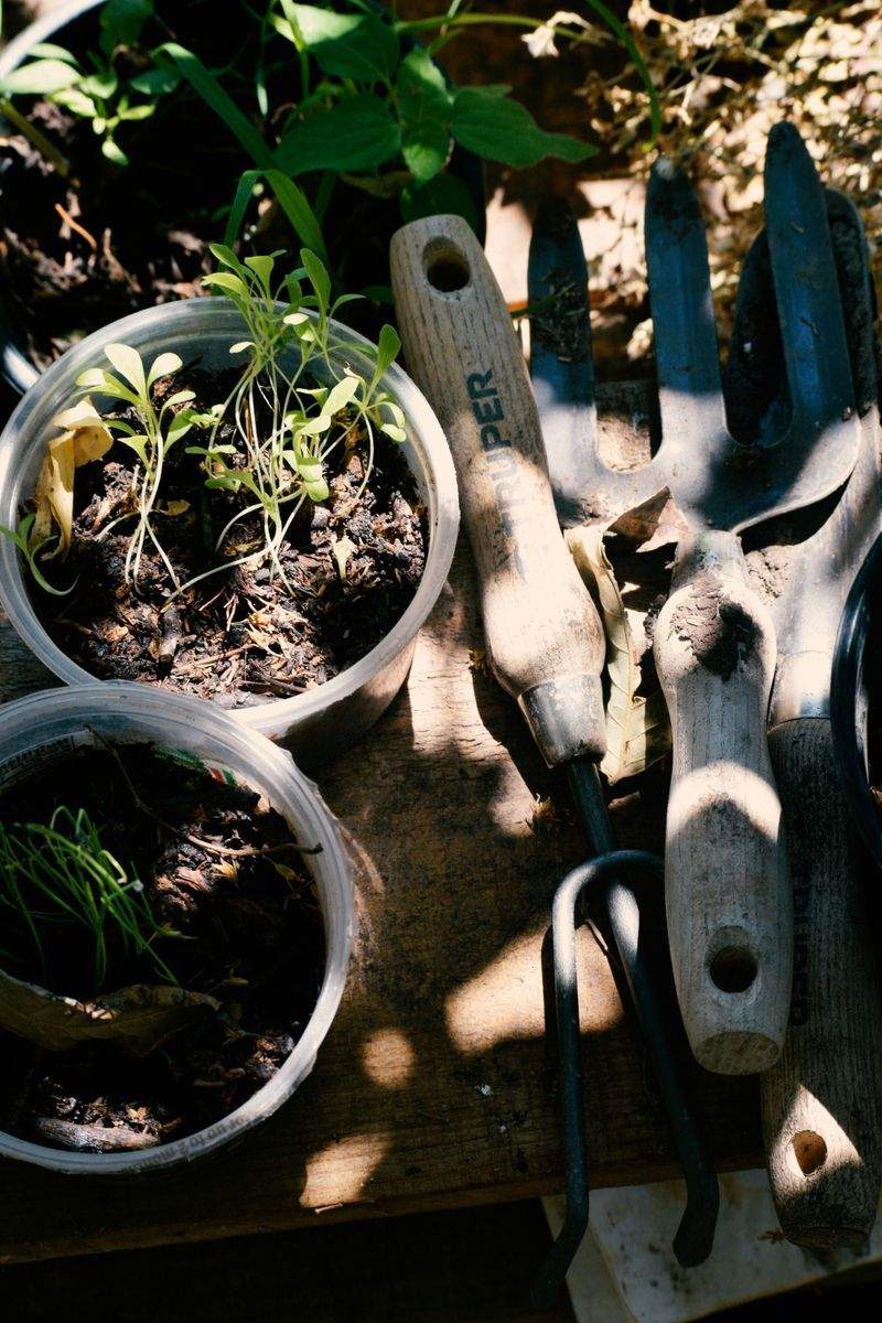 Grünraum Gartenpflege GmbH 7